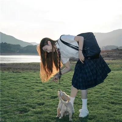 宫崎骏与苍鹭